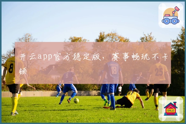 开云app官方稳定版，赛事畅玩不卡顿