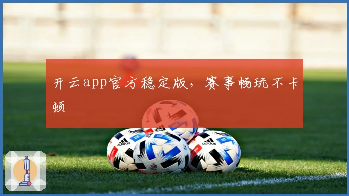 开云app官方稳定版，赛事畅玩不卡顿