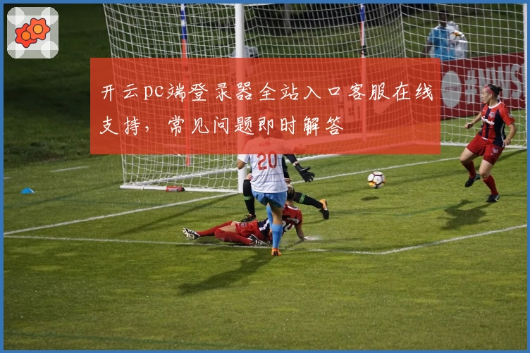 开云pc端登录器全站入口客服在线支持，常见问题即时解答