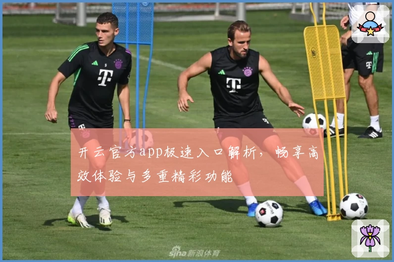 开云官方app极速入口解析，畅享高效体验与多重精彩功能